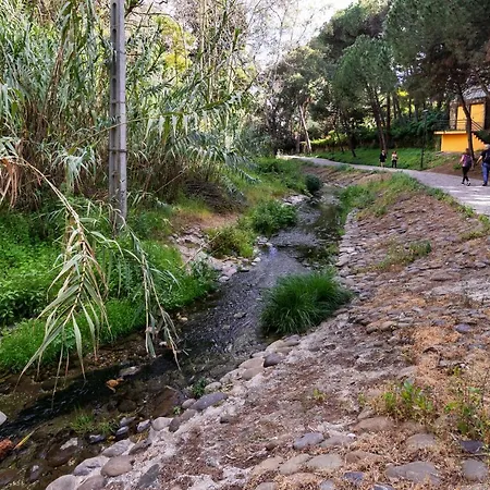 Atico En Centro, Segunda Linea Playa 731